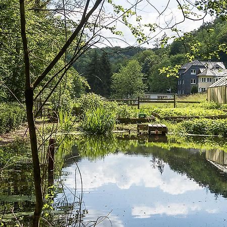 Landgasthof Hieren Muehle Ney Экстерьер фото